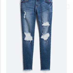Delina Distressed Embroidered‎ Skinny Jean